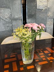 -美健盛世·美容SPA连锁