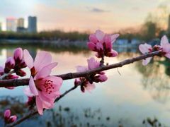-青城公园