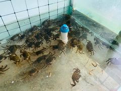 -蟹道河蟹大米商行