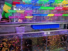 -大学城夜市大排档(凤栖路店)