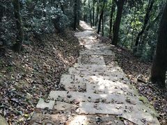 -西湖风景区十里琅珰-五云山