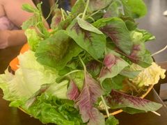 -菌乡缘·野生菌蒸汽鱼火锅(江边夜市店)