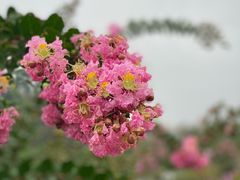 -十三陵水库