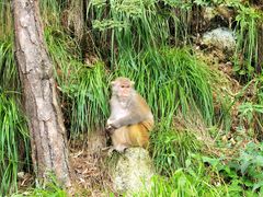 -庐山风景名胜区