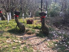 -天目湖山水园