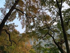 -大罗山风景区