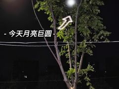 -光明港公园