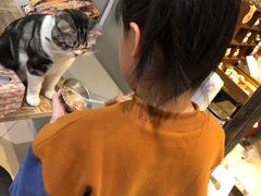 -小时光咖啡馆(开森度假森林店)