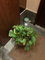 -禾颜社·精致美容