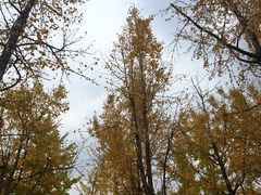 -白塘生态植物园