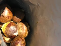 -小宝栗子(西安道店)