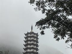 -羊楼洞