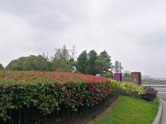 -上海滴水湖皇冠假日酒店