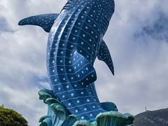 -珠海长隆海洋王国