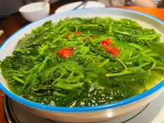 -优之名鹅城