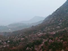 -阳台山自然风景区