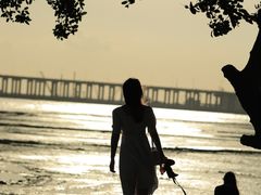 -宝安西湾红树林湿地公园