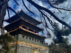 -北陵公园