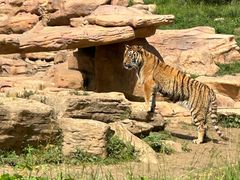 -北京野生动物园