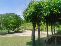 -神户市立六甲山牧场