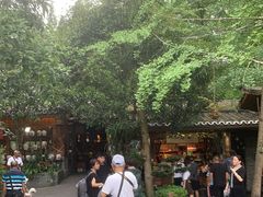 -青城甲(青城山店)