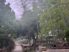 -杭州灵山景区