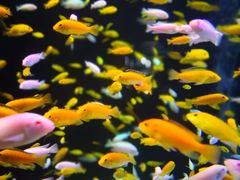 -成都浩海立方海洋公园