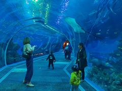 -成都浩海立方海洋公园