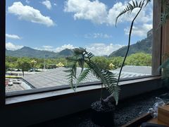 -宴武夷·匠心闽味(印象大红袍店)