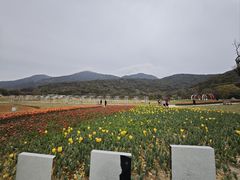 -东极岛景区