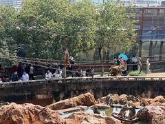 -昆明动物园