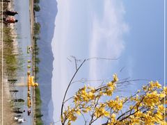 -野鸭湖国家湿地公园