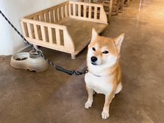 -三目仓咖啡(贤南路店)
