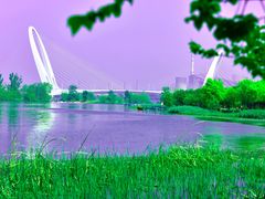 -永定河休闲森林公园