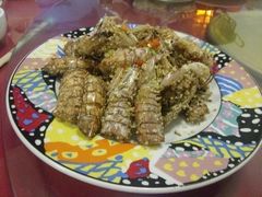 -小叶大馅饺子城