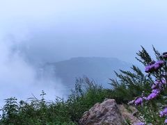 -阳台山自然风景区