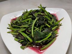 炒苋菜-华盛丰温州大排档(东三环南路店)