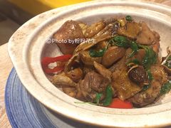 宝岛三杯鸡-芒果爆爆(东海缤纷店)