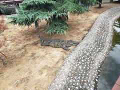 -石家庄市动物园