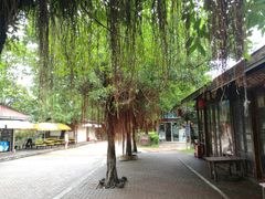 -白沙门生态公园
