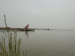 -哈素海