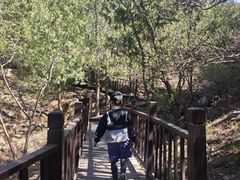 -北京十三陵国家森林公园蟒山景区