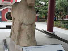 -茂陵博物馆