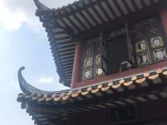 -碧江金楼