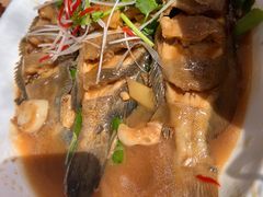 杂鱼锅-鸿运美食府
