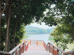 -广东花都湖国家湿地公园