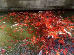 -滴水洞景区