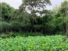 -成都杜甫草堂博物馆