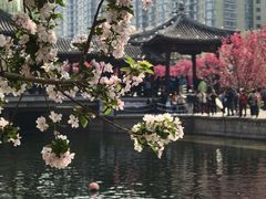 -元大都城垣遗址公园