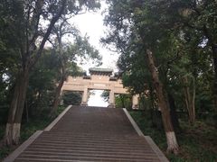 -灵谷景区
